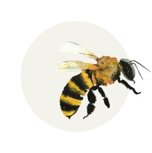 illustrierte Biene