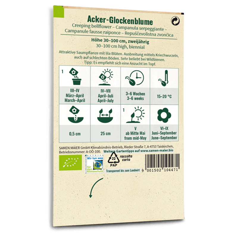 Bio-Acker-Glockenblume Wildblume Saatgut