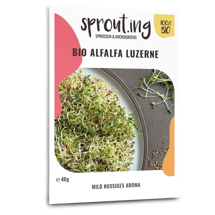 Bio-Alfalfa Luzerne Sprossen Samen