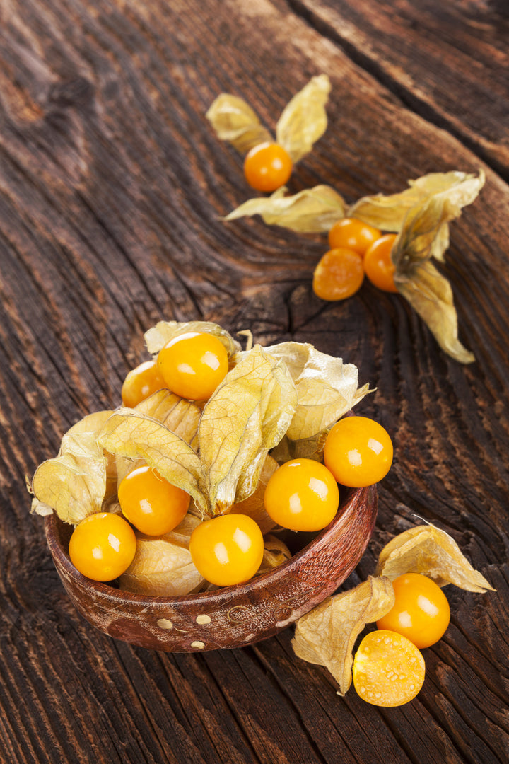 Bio-Ananaskirsche-Physalis pruinosa