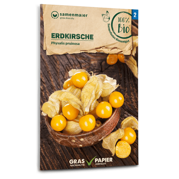 Bio-Ananaskirsche Samen
