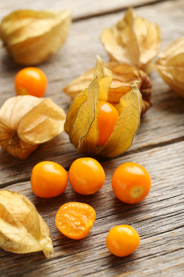 Bio-Andenbeere-Physalis peruviana