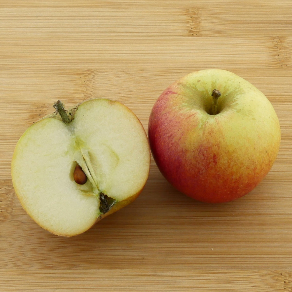 Frucht des Bio-Apfelbaums ‘Alkmene’