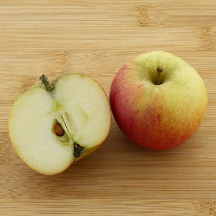 Frucht des Bio-Apfelbaums ‘Alkmene’
