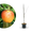 Bio-Apfelbaum ‘Alkmene’ Herbstapfel