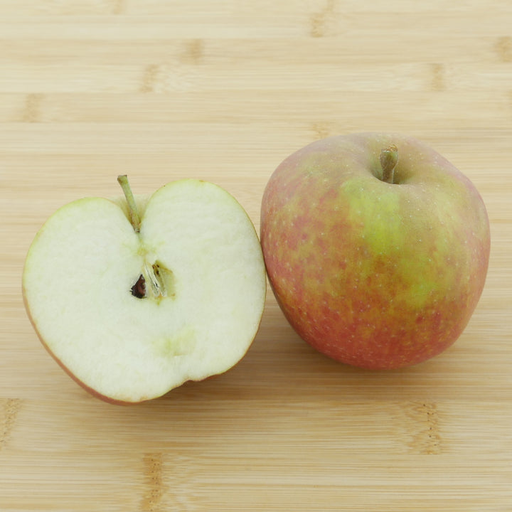 Frucht des Bio-Apfelbaums 'Boskoop'