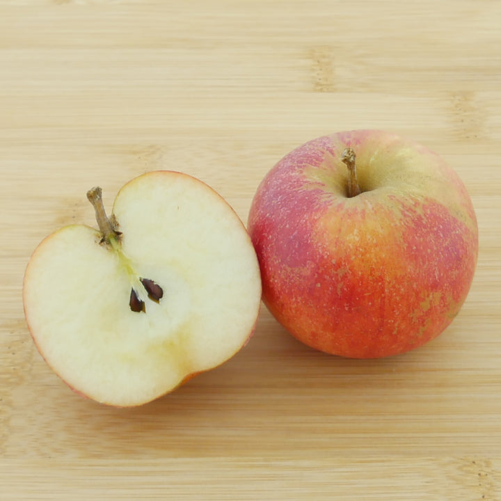 Frucht des Bio-Apfelbaums 'Cox Orange Renette'