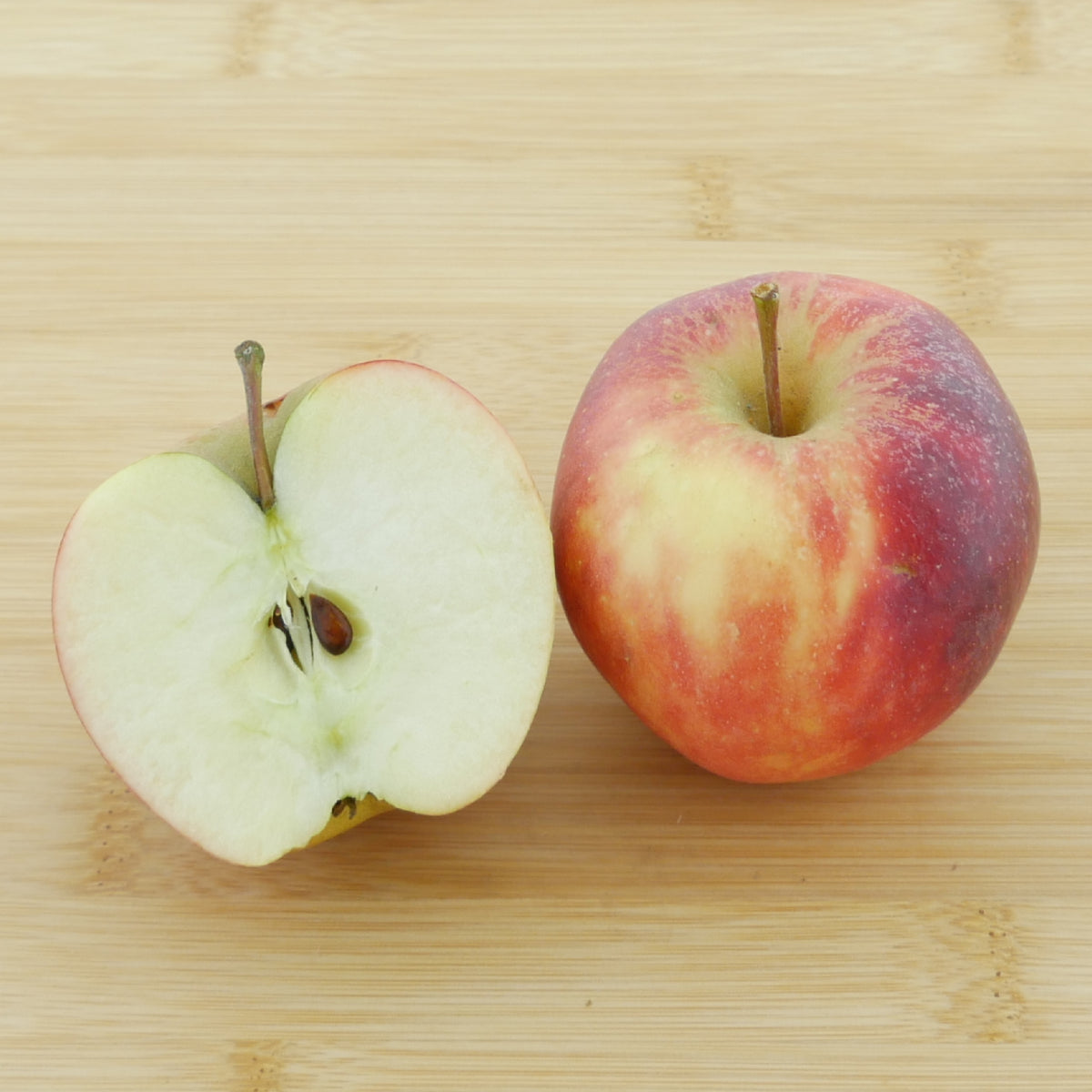Frucht des Bio-Apfelbaums ‘Elstar'