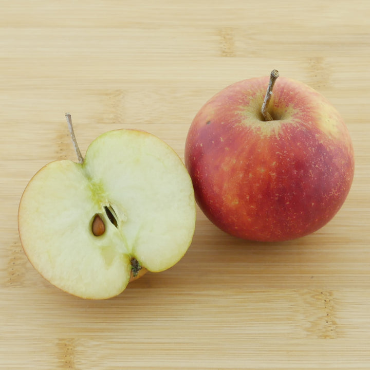 Frucht des Bio-Apfelbaums 'Goldparmäne'
