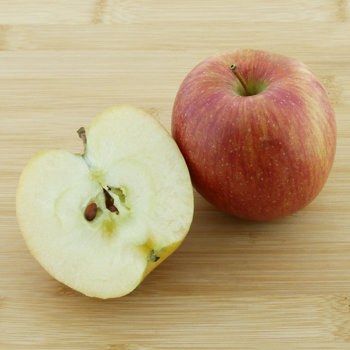 Frucht des Bio-Apfelbaums 'Gravensteiner'