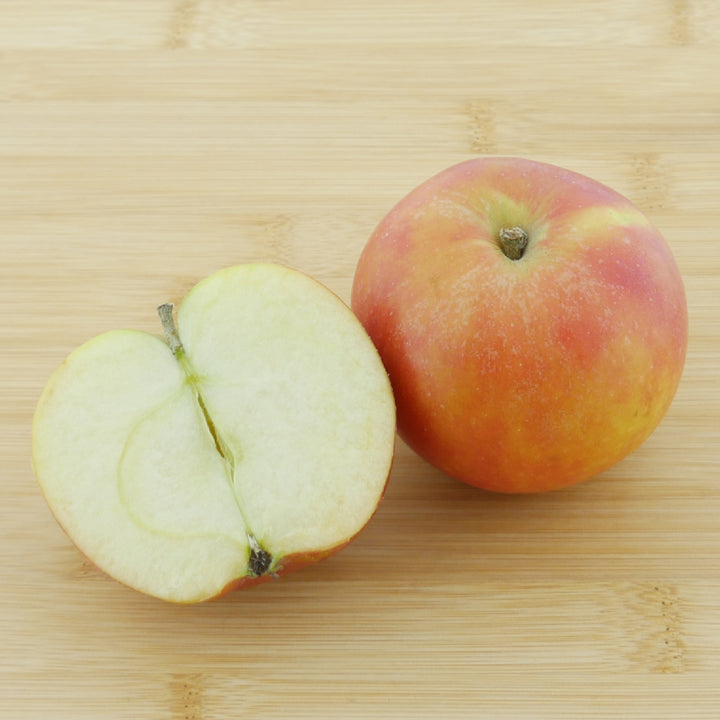 Frucht des Bio-Apfelbaums 'Holsteiner Cox'