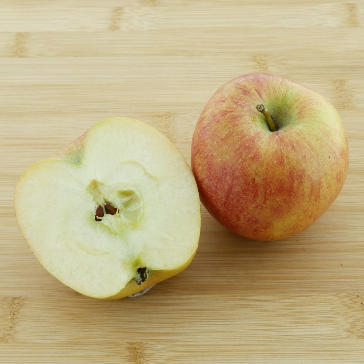 Frucht des Bio-Apfelbaums 'James Grieve'