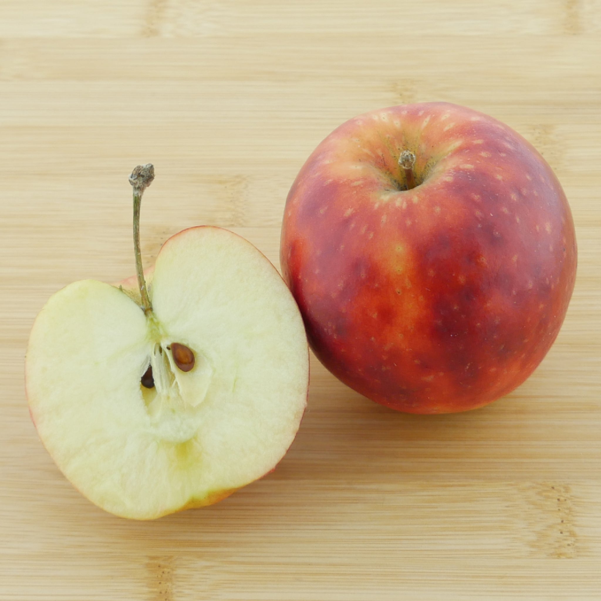 Frucht des Bio-Apfelbaums 'Kaiser Wilhelm'