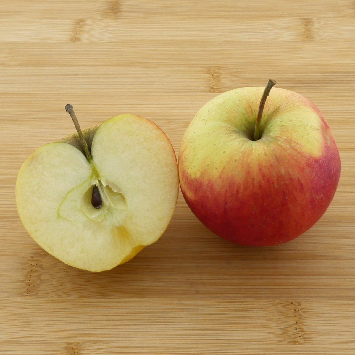 Frucht des Bio-Apfelbaums 'Rebella'