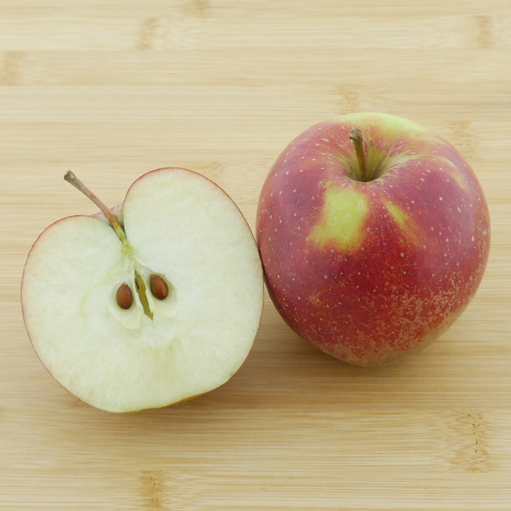 Frucht des Bio-Apfelbaums 'Wellant'
