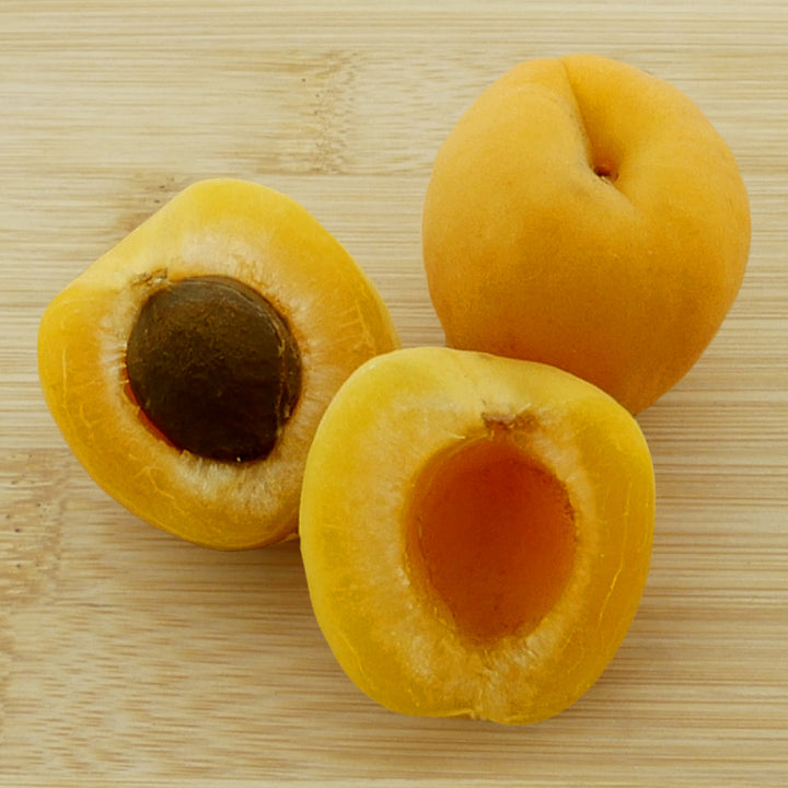 Früchte des Bio-Aprikosenbaums 'Mino'