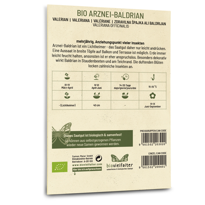 Bio-Arznei-Baldrian Saatgut