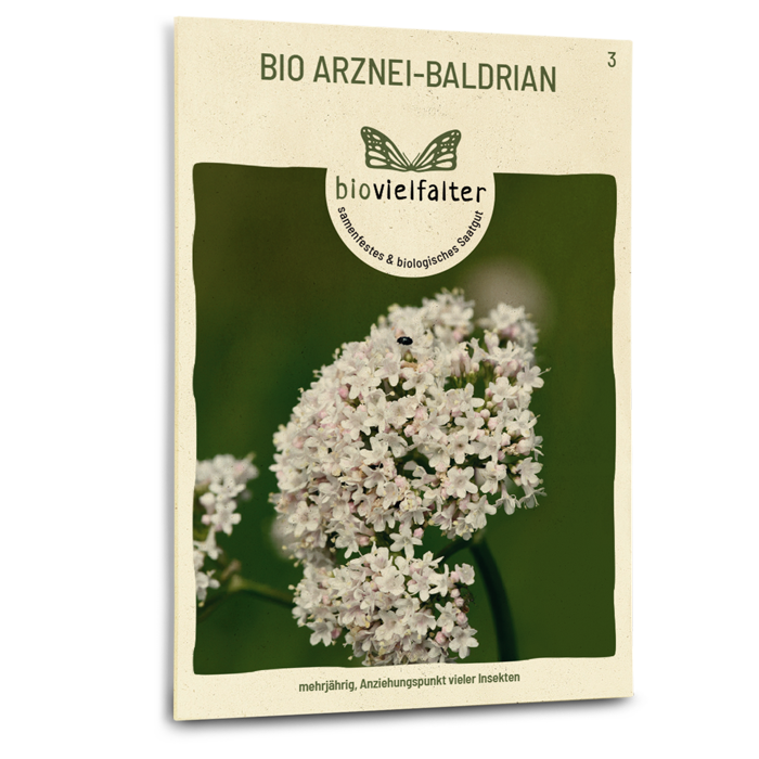 Bio-Arznei-Baldrian Samen