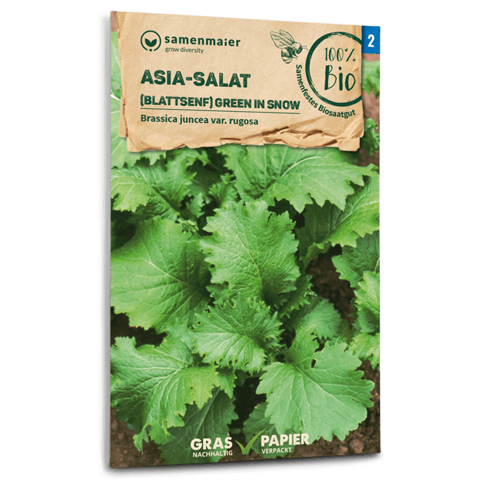 Bio-Asia-Salat 'Green in Snow' Samen