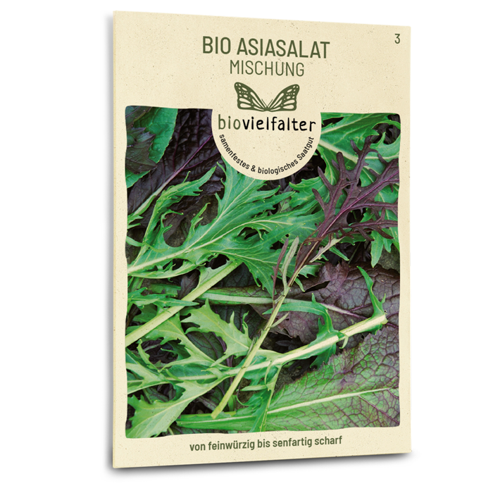 Bio-Asia-Salat Mischung Samen