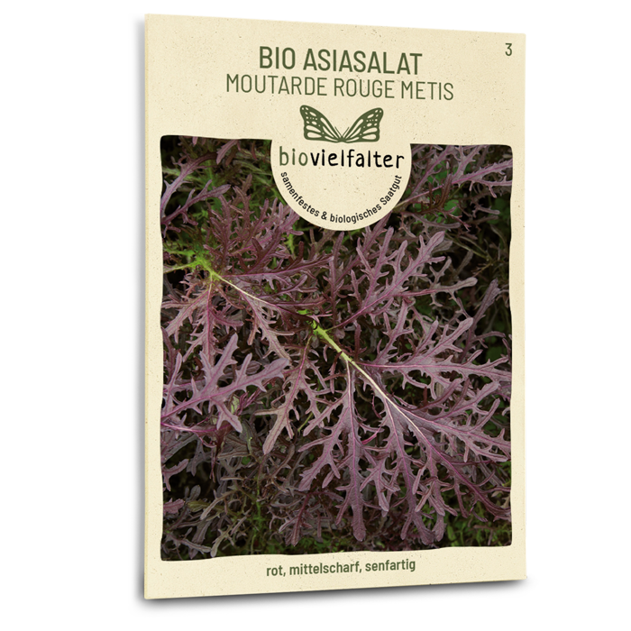 Bio-Asia-Salat 'Moutarde rouge metis' Samen