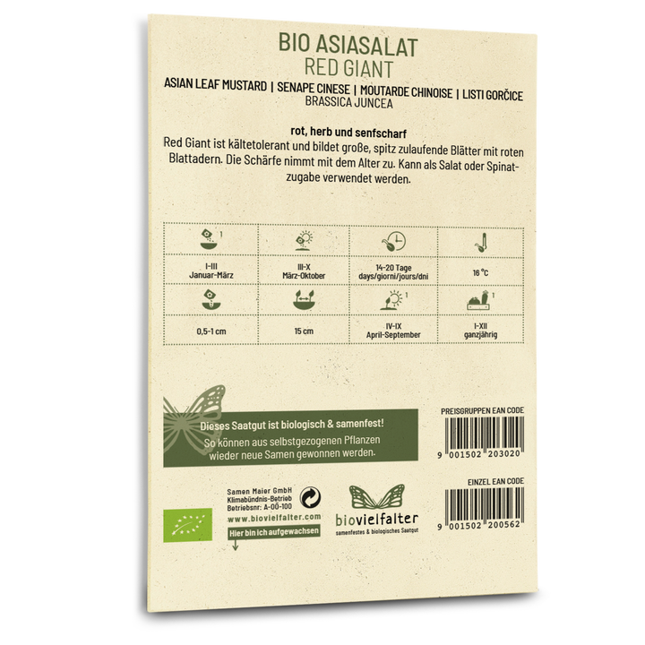 Bio-Asia-Salat 'Red Giant' kaufen