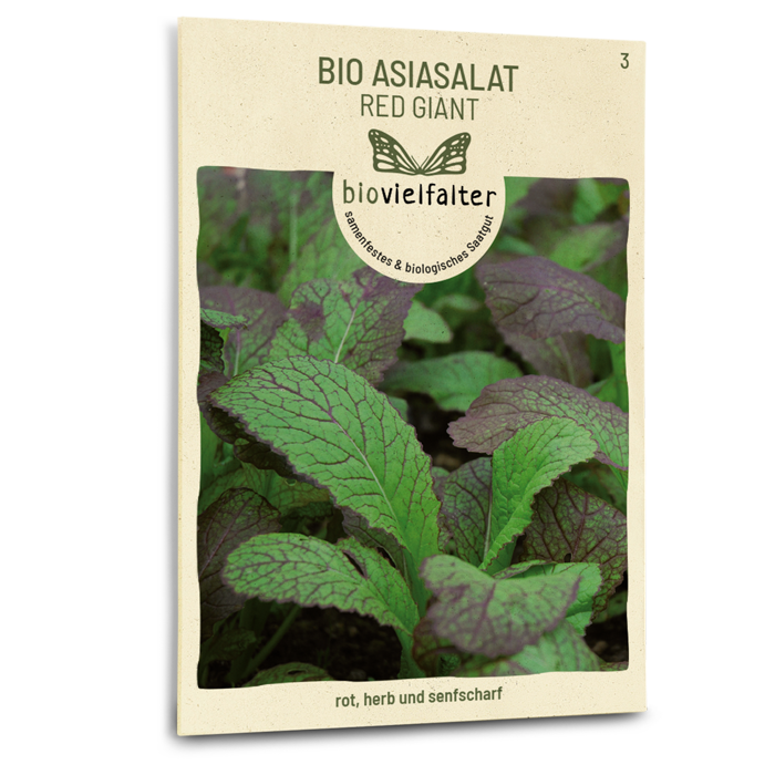 Bio-Asia-Salat 'Red Giant' kaufen