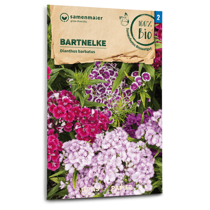 Bio-Bartnelken Mischung