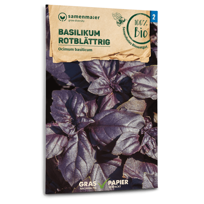 Bio-Basilikum Rotblättrig