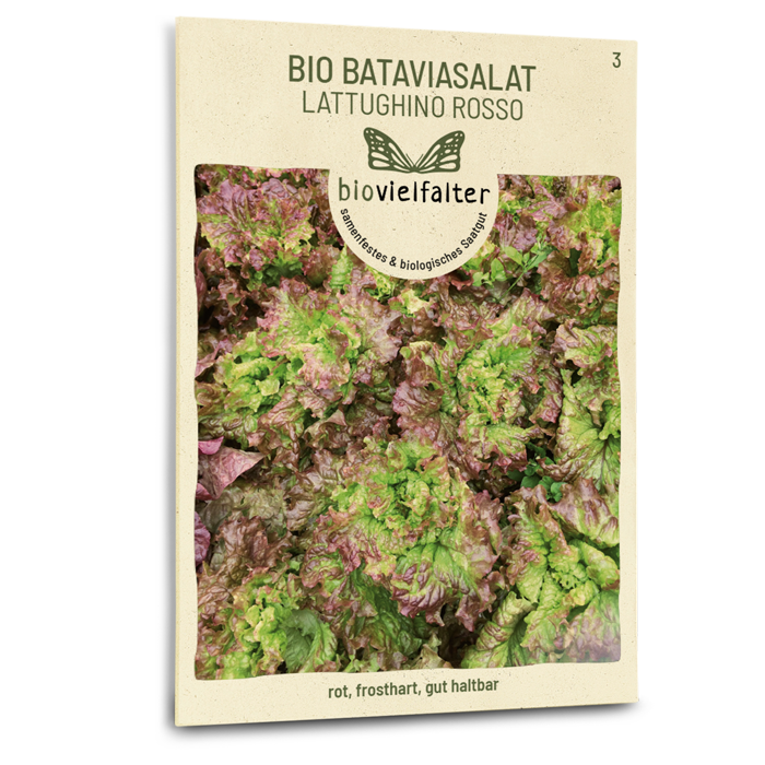 Bio-Bataviasalat 'Lattughino Rosso' Samen
