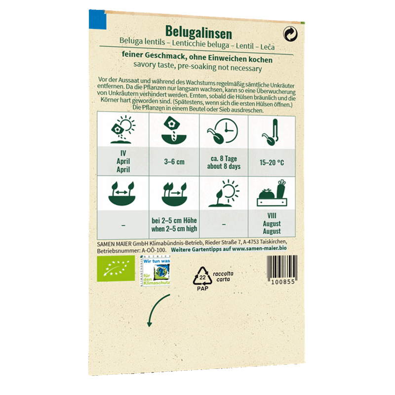 Bio-Belugalinsen Saatgut