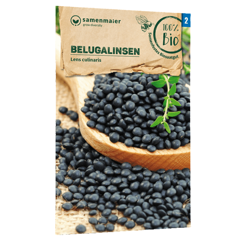 Bio-Belugalinsen Samen