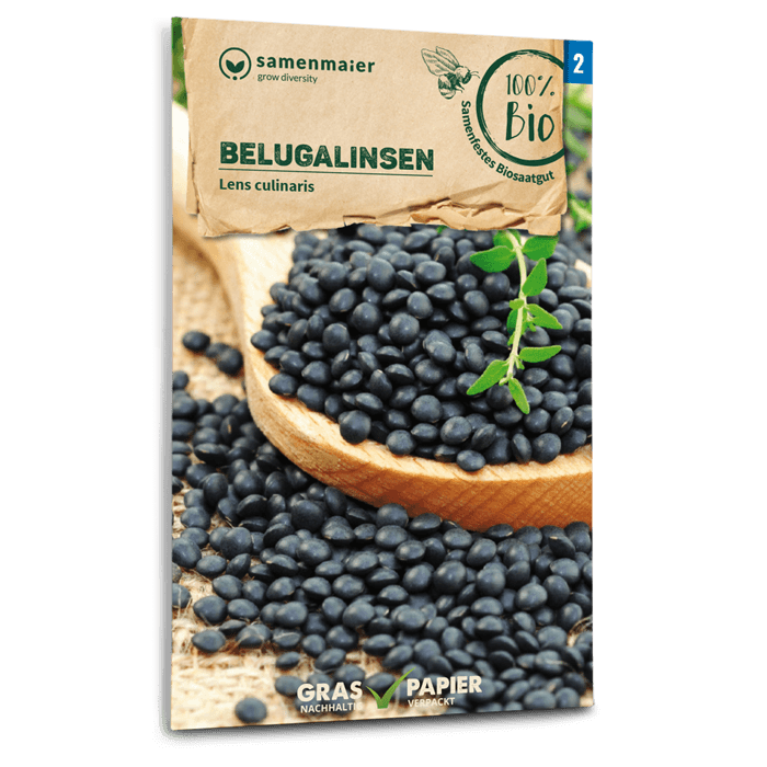 Bio-Belugalinsen Samen