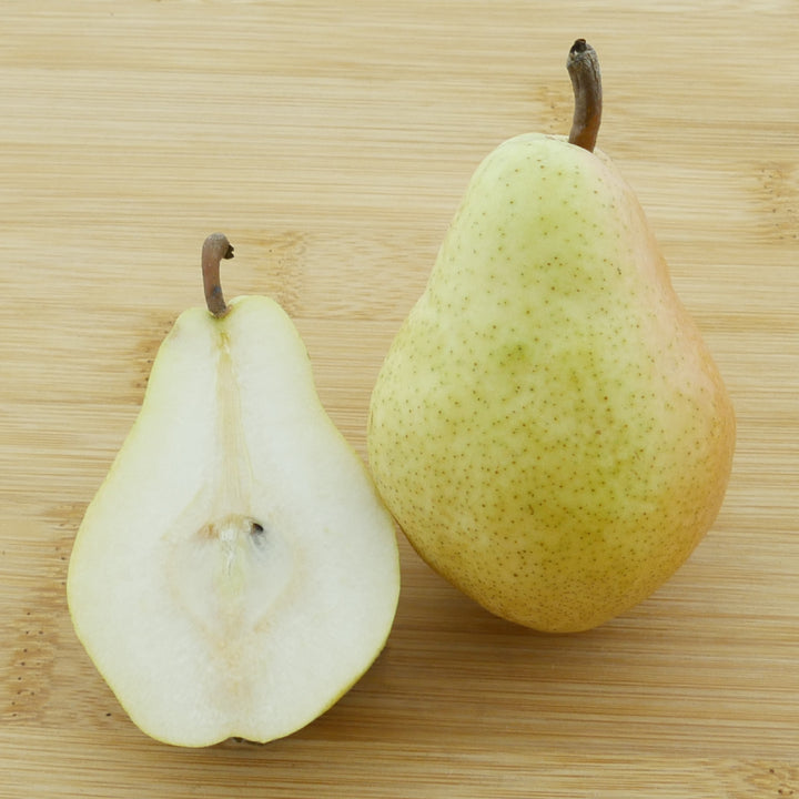 Frucht des Bio-Birnbaums 'Clapps Liebling'