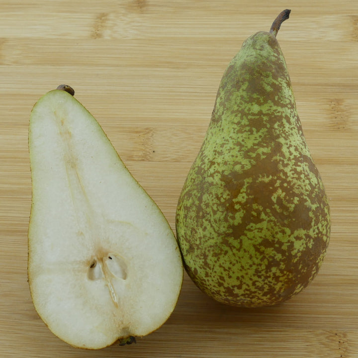 Frucht des Bio-Birnbaums 'Conference'
