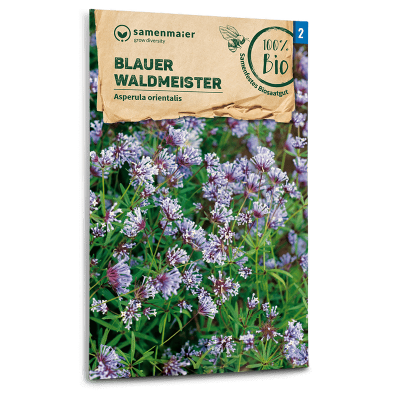 Bio-Blauer Waldmeister Samen