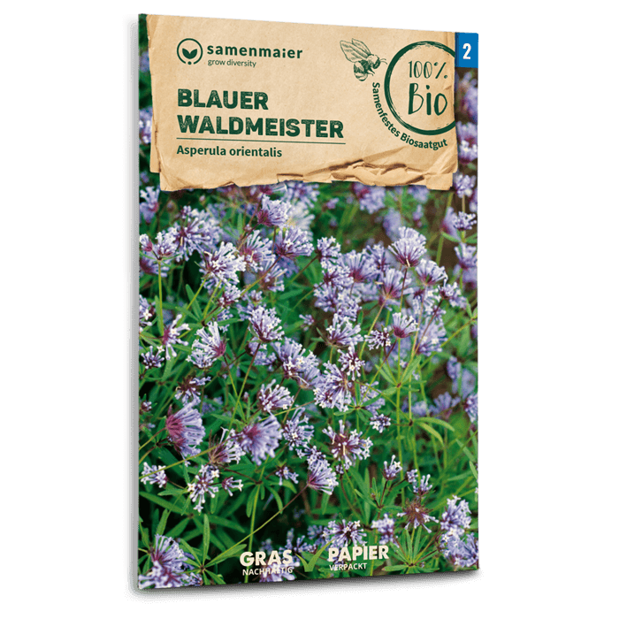 Bio-Blauer Waldmeister Samen