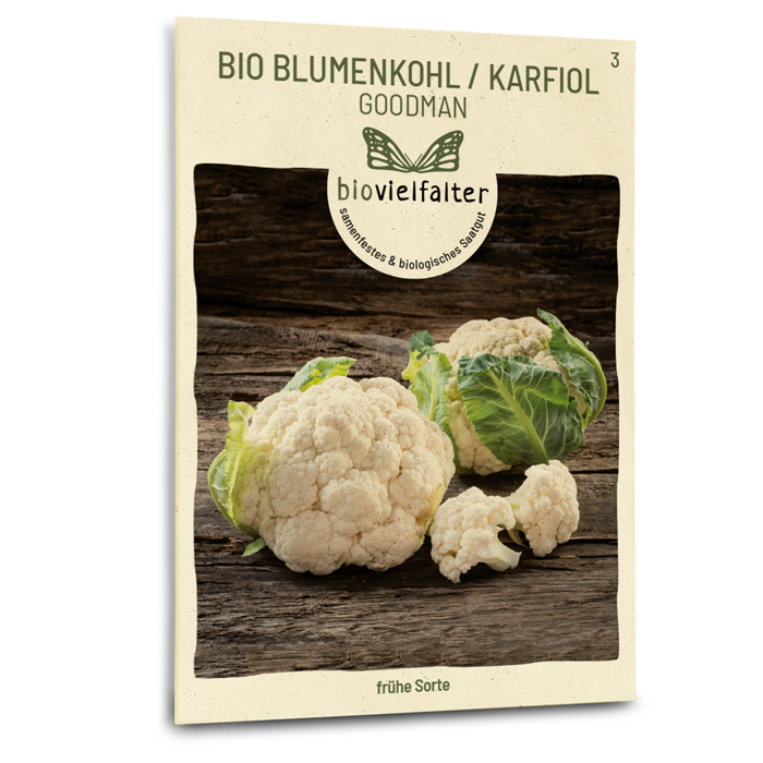 Bio-Blumenkohl 'Goodman'
