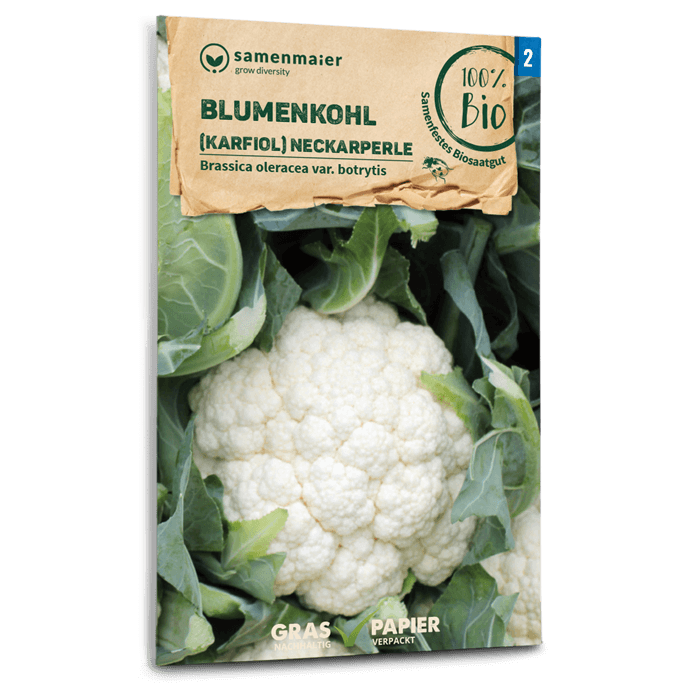 Bio-Blumenkohl 'Neckarperle' Samen