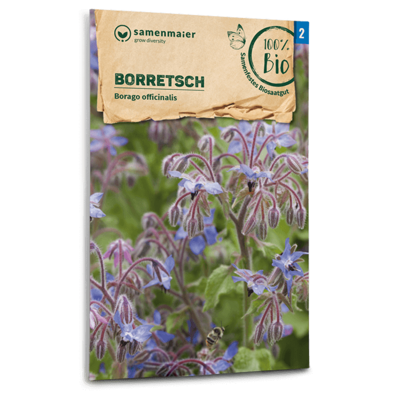 Bio-Borretsch Samen