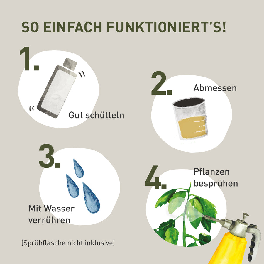 Anwendung des Bio-Brennnessel Extrakts