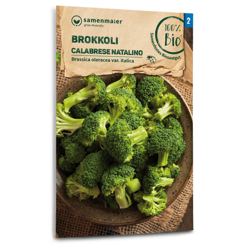 Bio-Brokkoli 'Calabrese natalino' Samen