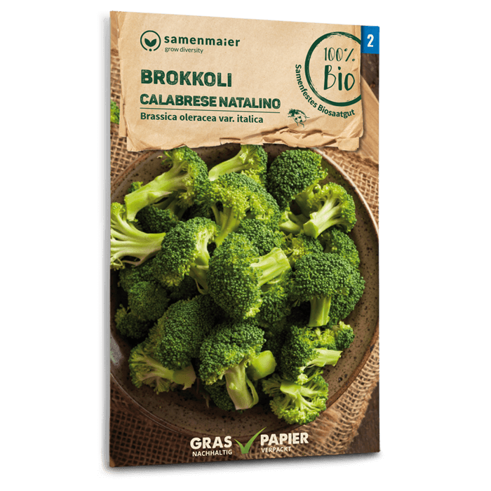 Bio-Brokkoli 'Calabrese natalino' Samen