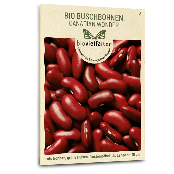 Bio-Buschbohne 'Canadian Wonder' Samen