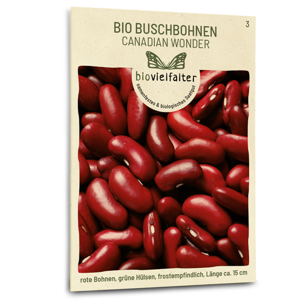 Bio-Buschbohne 'Canadian Wonder' kaufen - Plantura Shop