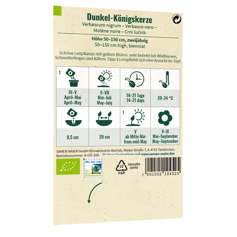 Bio-Dunkle Königskerze Wildblume Saatgut