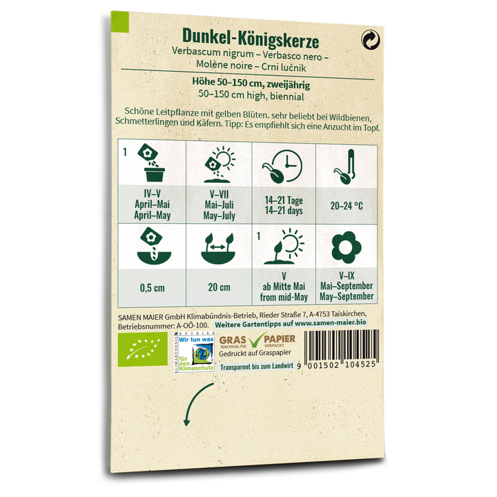 Bio-Dunkle Königskerze Wildblume Saatgut