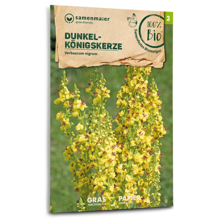 Bio-Dunkle Königskerze Wildblume Samen