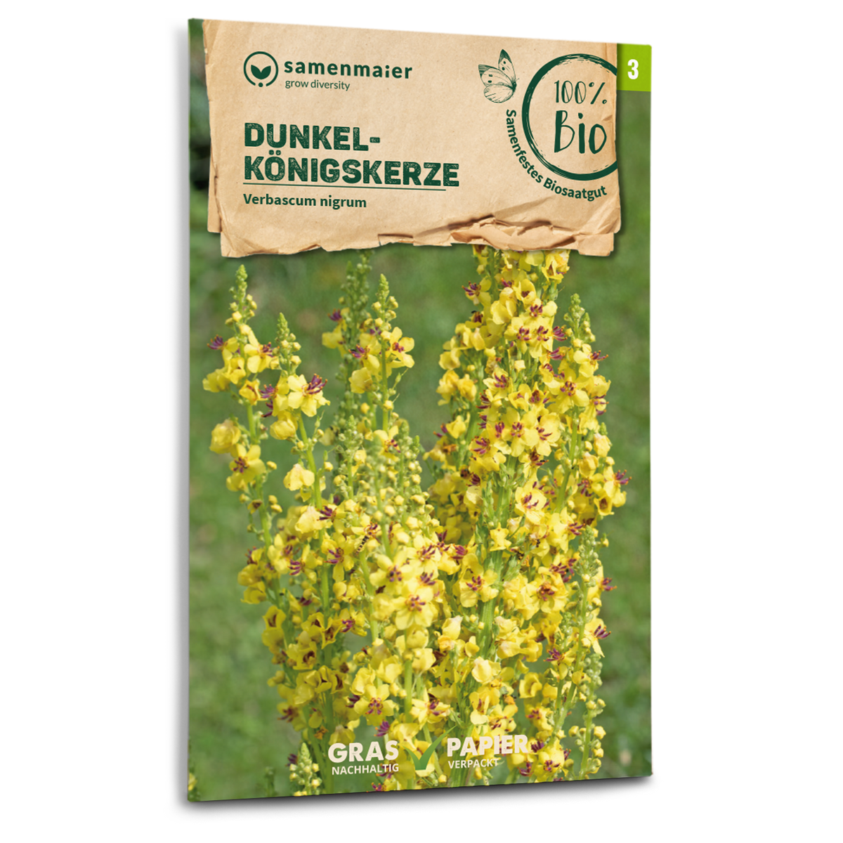 Bio-Dunkle Königskerze Wildblume