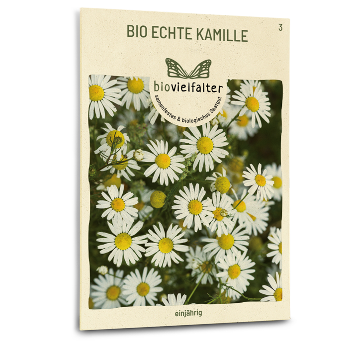 Bio-Echte Kamille Samen